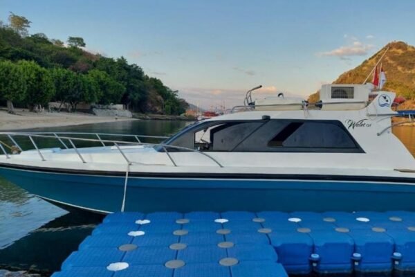 Sewa Speed Boat Walet Labuan Bajo