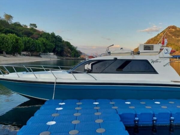 Sewa Speed Boat Walet Labuan Bajo