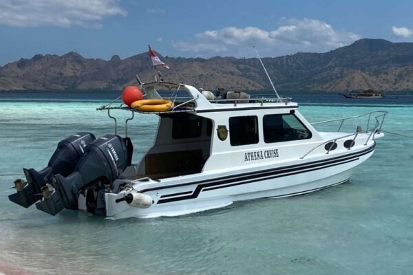 Sewa Speed Boat Athena Labuan Bajo