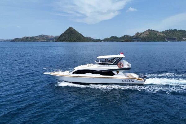Sewa Speed Boat Makara Labuan Bajo