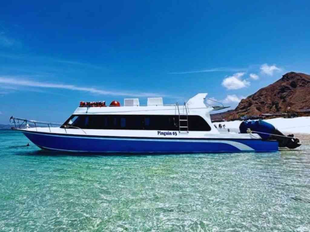 Pinguin 03 Speedboat Kapasitas Besar untuk Open Trip Komodo dan Day Trip Labuan Bajo