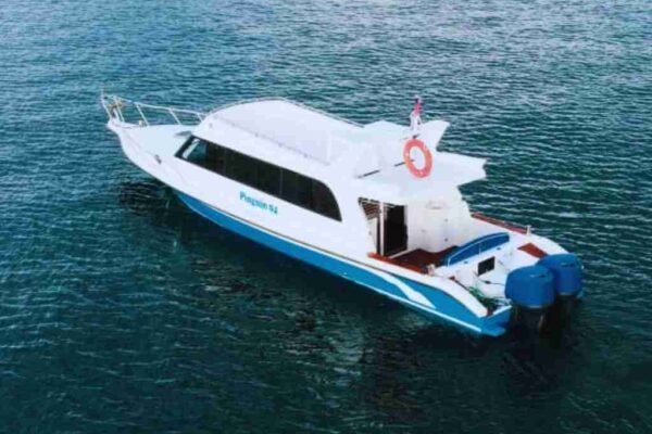Sewa Speed Boat Pinguin 4 Labuan Bajo