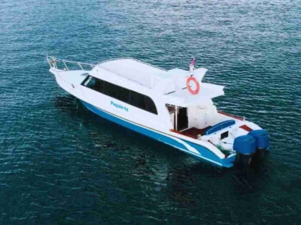Sewa Speed Boat Pinguin 4 Labuan Bajo