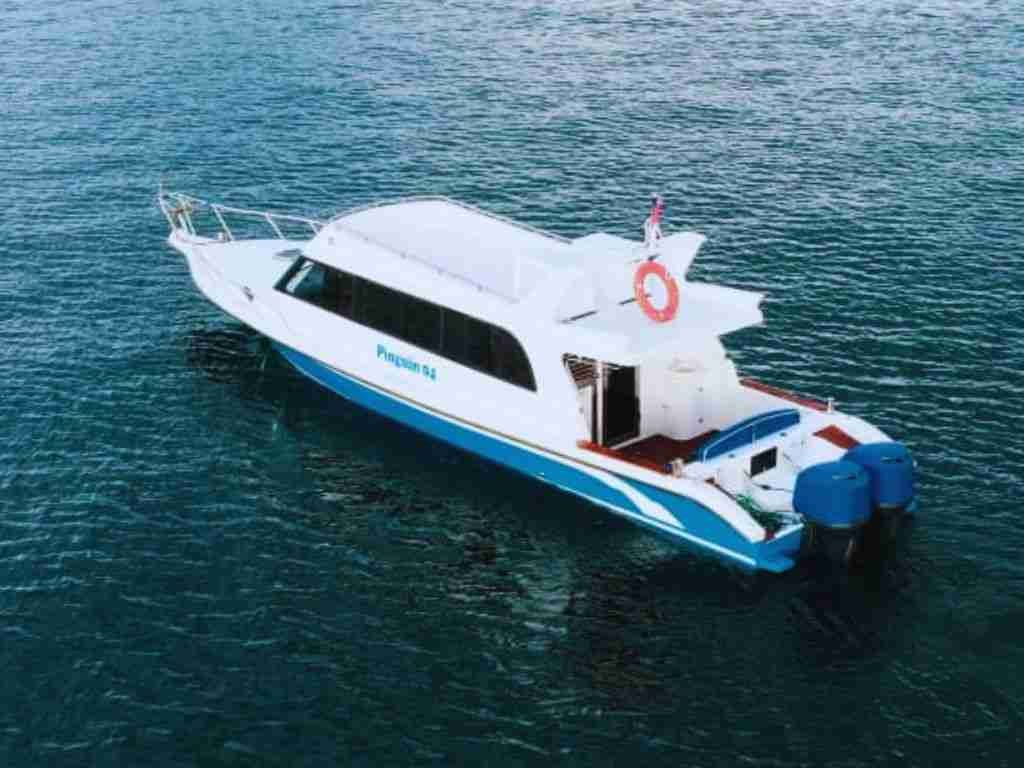 Pinguin 04: Speedboat Mewah Kapasitas Besar untuk Open Trip Premium Labuan Bajo