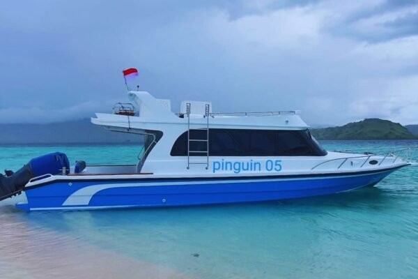 Sewa Speed Boat Pinguin 5 Labuan Bajo