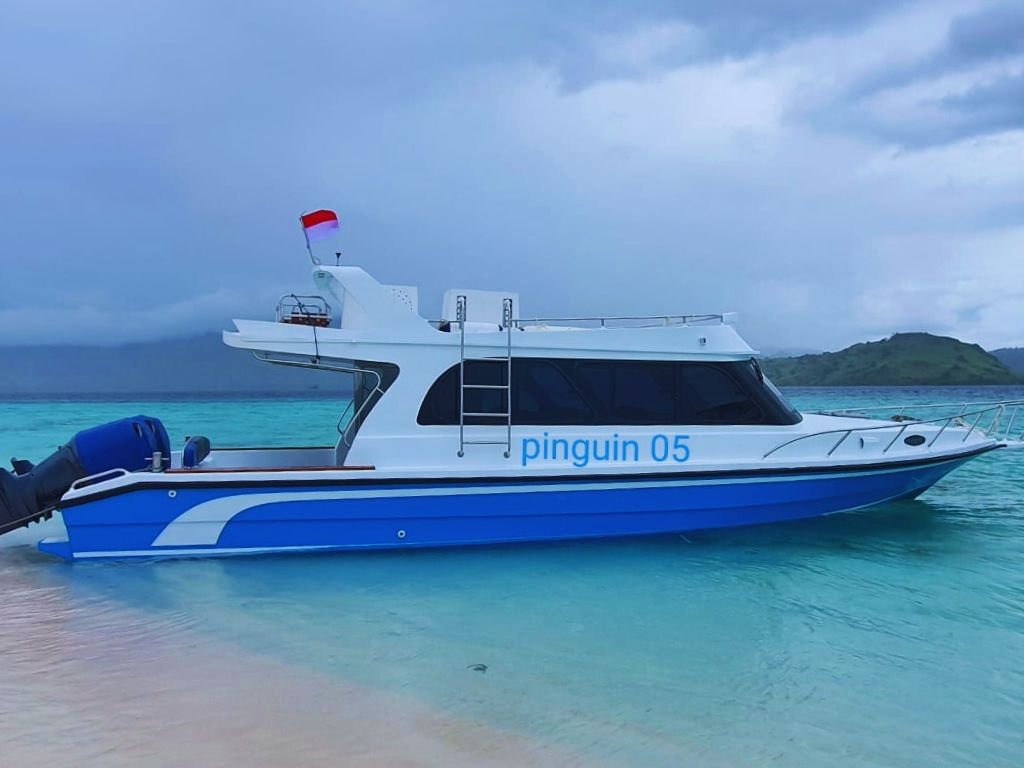 Pinguin 05: Sewa Speedboat Kapasitas Besar untuk Open Trip dan Private Charter Labuan Bajo