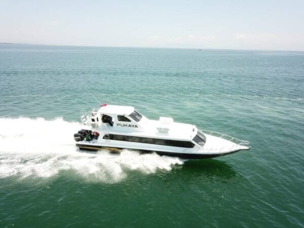Sewa Speed Boat Pukaya Labuan Bajo