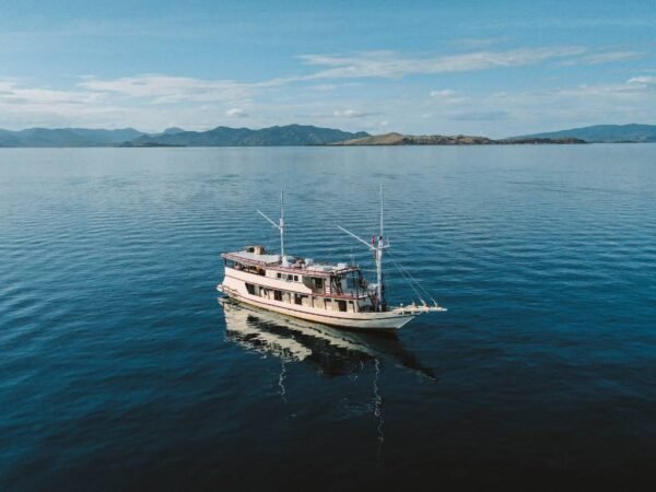 Sewa Kapal Phinisi Lamborajo 1