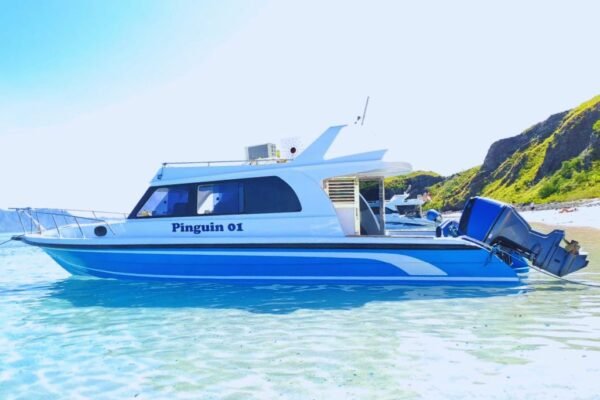 Sewa Speed Boat Pinguin 1 Labuan Bajo