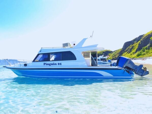 Sewa Speed Boat Pinguin 1 Labuan Bajo