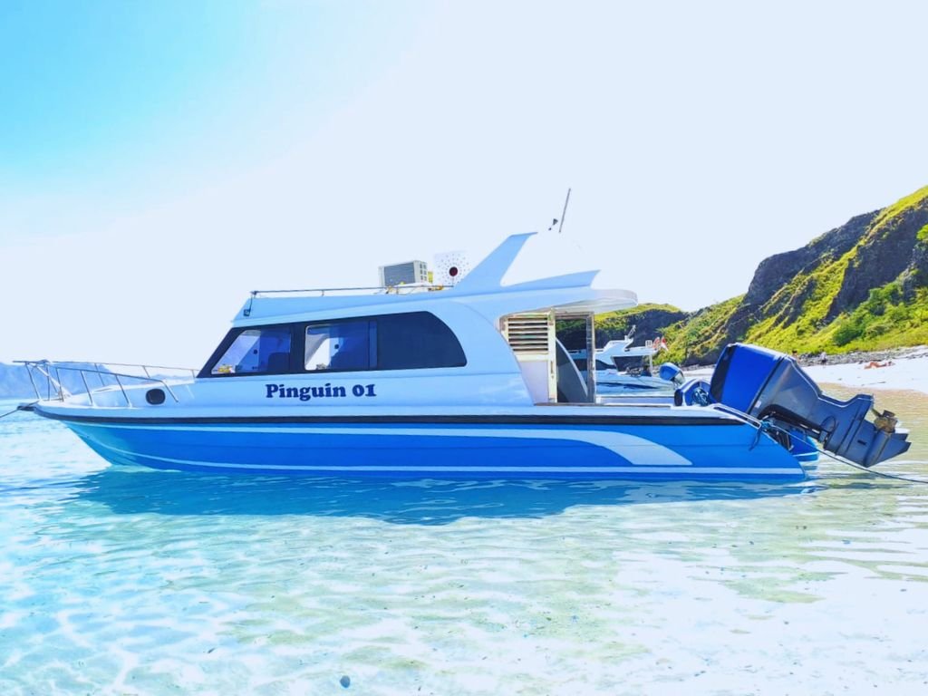 Pinguin 01: Speedboat Cepat untuk One Day Trip ke Pink Beach Labuan Bajo