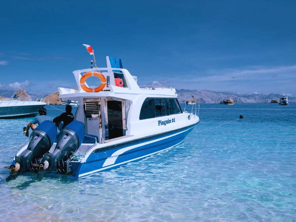 Pinguin 01: Speedboat Cepat untuk One Day Trip ke Pink Beach Labuan Bajo