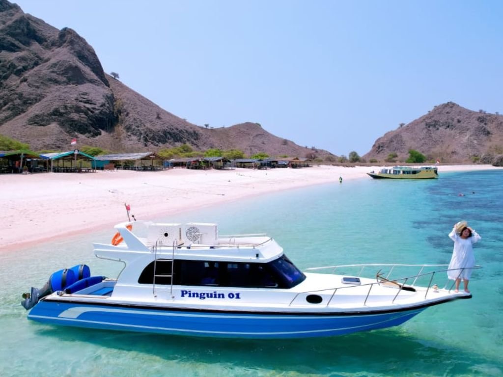 Pinguin 01: Speedboat Cepat untuk One Day Trip ke Pink Beach Labuan Bajo